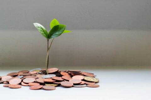 220428 - Splann ! Reçu fiscal revenus 2021 Crédits Micheile dot com by Unsplash