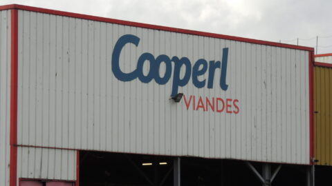 231116 Splann ! Enquête Cooperl Volet 1d
