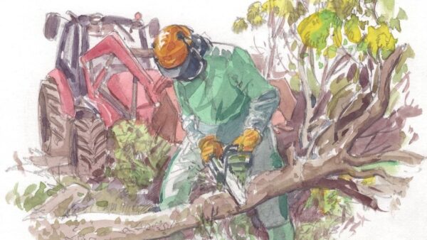 Bocage : la fin d&rsquo;un paysage