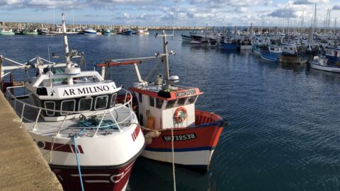 Bateaux de pêche dans le port de Saint-Quay-Portrieux, dans les Côtes-d'Armor, en février 2021. Crédits : « Splann ! »