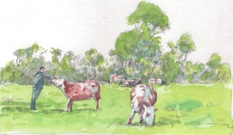 Bocage, la fin d'un paysage, la nouvelle enquête de « Splann ! ». Crédits Yann Le Sacher