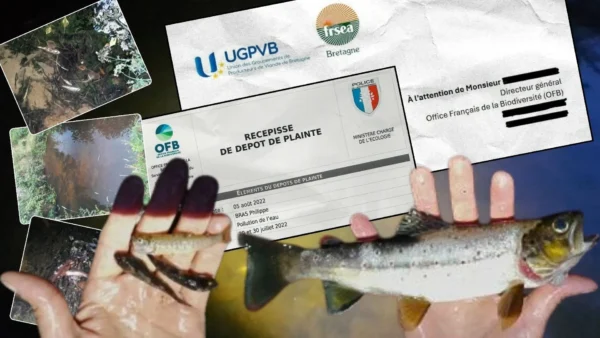 [Info « Splann ! »] Quand le lobby de la viande tente une manœuvre pour discréditer l’Office français de la biodiversité