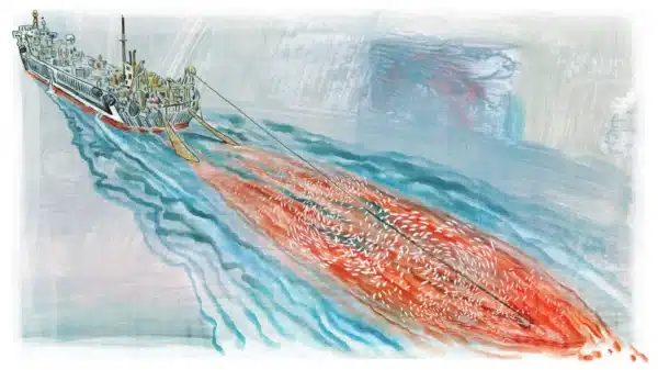 La pêche bretonne navigue à vue