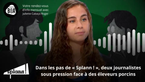 Deux Journalistes Mettent En Alerte Les éleveurs De Porcs Du Finistère Le Récap' De « Splann ! » D'août 2024