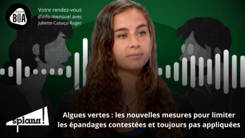 L'ammoniac pollue (toujours) autant l'air breton _ Le récap' de « Splann ! » de juin 2024