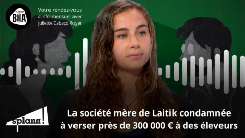 Ils veulent réensauvager la Bretagne _ Le récap' de « Splann ! » d'octobre 2024