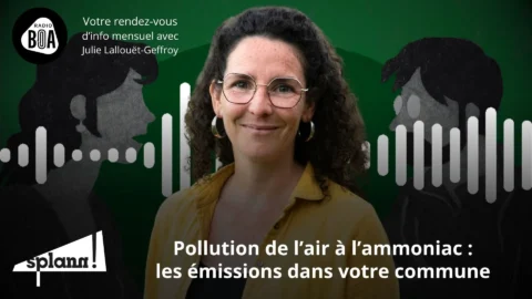L'ammoniac pollue (toujours) autant l'air breton _ Le récap' de « Splann ! » de juin 2024
