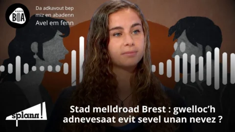 Lizher Kelaouiñ Stad Melldroad Brest, Gwelloc'h Adnevesaat Evit Sevel Unan Nevez #15