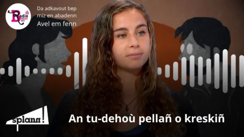 Lizher-kelaouiñ _ an tu-dehoù pellañ o kreskiñ #9