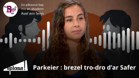 Lizher-kelaouiñ _ brezel ar parkeier #2