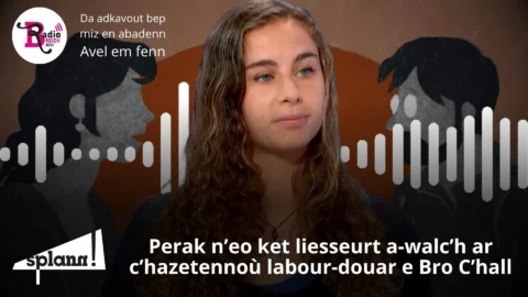 Lizher-kelaouiñ _ liesseurt a-walc'h eo ar mediaoù gouestlet dal labour-douar _ #11