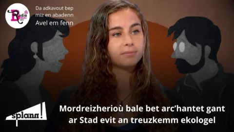 Lizher-kelaouiñ bagoù saotrus arc'hantet gant arc'hant ar Stad #7