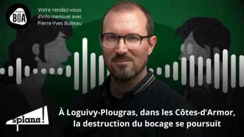 Alain Glon _ des Panama Papers aux LuxLeaks _ Le récap' de « Splann ! » de janvier 2025
