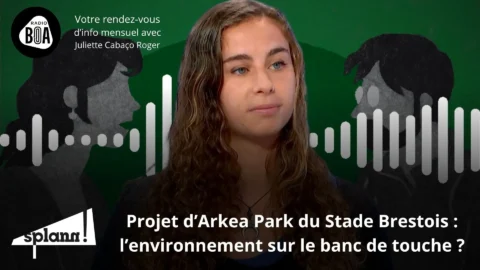 Stade Brestois L’environnement Sur Le Banc De Touche Le Récap' De « Splann ! » De Décembre 2024